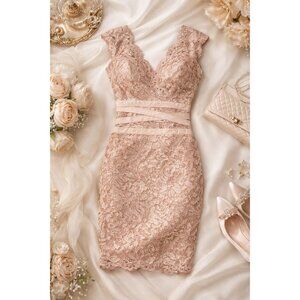 Silent Luxury Blush Lace Sequin Sheath Dress |Tadashi Shoji| Elegant Feminine 8